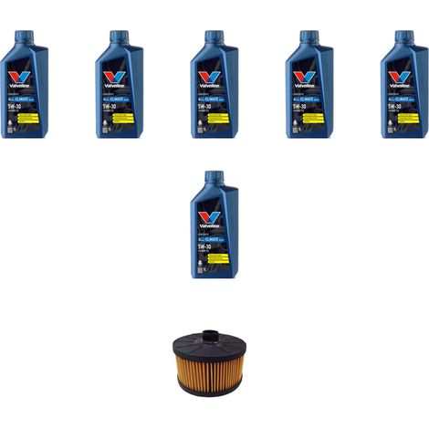 Kit filtro olio e 6L compatibile con Renault Captur (J5,H5) 1.3 TCE 150 110kw dal 2018 (1/5)