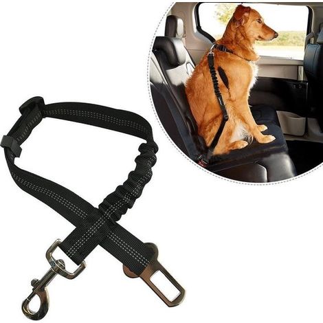 Nouvelle ceinture de sécurité réfléchissante pour voiture, corde élastique rétractable, laisse pour chat en voiture (vente en gros) (1/2)