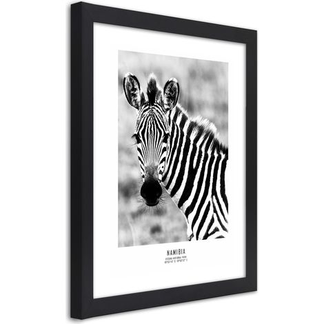Quadro con cornice, Una zebra curiosa - 20x30 (1/5)