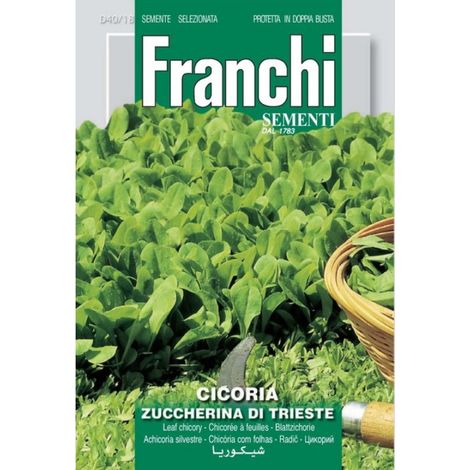 SEMI CICORIA ZUCCHERINA DI TRIESTE 40/18 (1/2)