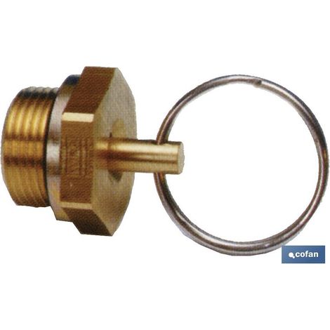 Robinet de purge 22 x 1,5 pour réservoirs d'air comprimé