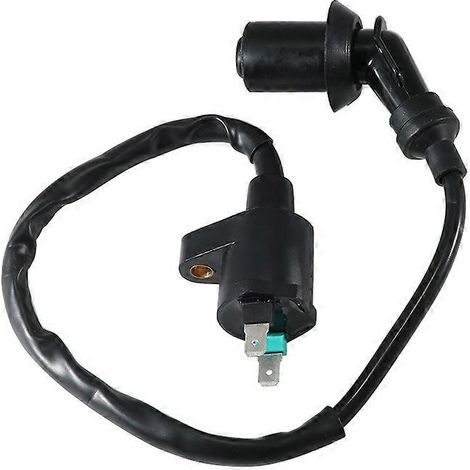 Anwendbare Hochspannungszündspule für Arctic Cat ATV DVX 50 UTILITY 50 DVX 90 UTILITY 90 ALTERRA 90 3303-125() (1/5)