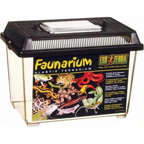 Exo Terra Faunarium S Transparentes Terrarium Tragbar