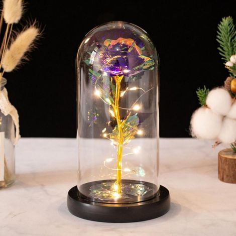 Rose de Noël Cadeau Femme, Coffret Musical Galaxie La Belle et la Bête, Fleur Éternelle sous Cloche en Verre avec LED, Idée Anniversaire Personnalisée pour Maman, Épouse, Petite Amie, Grand-Mère (1/3)