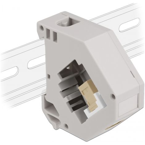 Delock Adaptador de carril DIN con Keystone SC Simplex hembra a SC Simplex hembra