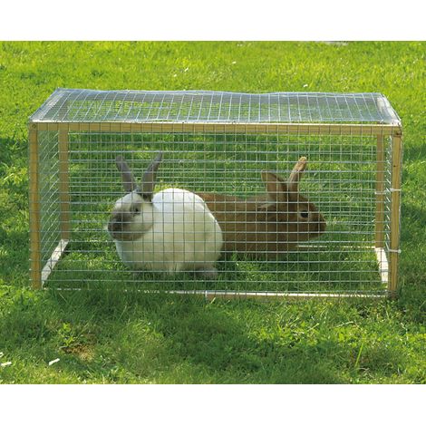 Griglia Fensanet Maglia 12,7 0,50mx5m Zincata - Intermas Gardening