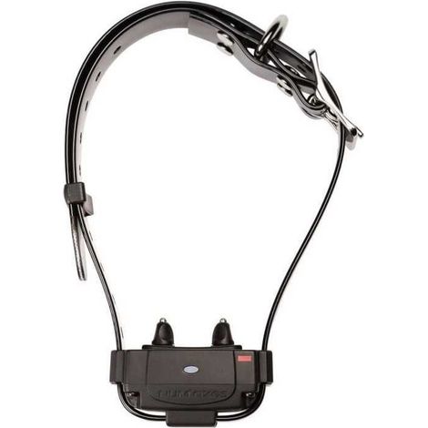 Numaxes Canifugue FUG1034 Antiflügelhalsband Schwarz (1/3)