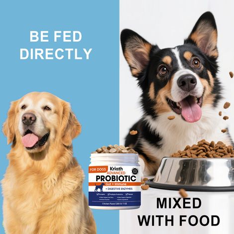 Comprimés à croquer probiotiques spécialement conçus pour les chiens, formule douce pour la supplémentation nutritionnelle et les soins quotidiens de la santé de votre animal – 200 g (1/5)