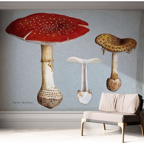 Papier peint autocollant adhésif avec imprimé motifs uniques apparence moderne Gravures de champignons 312x219 cm (1/5)