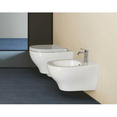 Sanitari Pratica sospesi senza brida cm. 53x35,5 con sedile