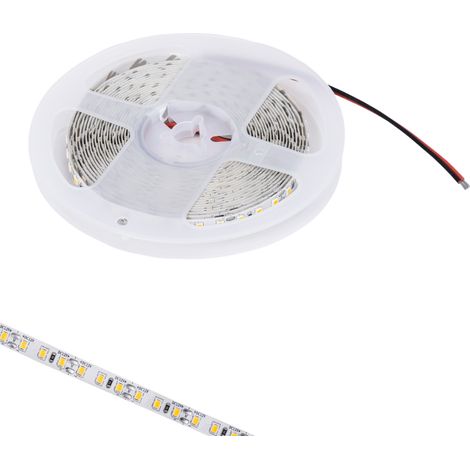 Tira LED 2835 48 W 12 V 5 m blanco frío (1/4)