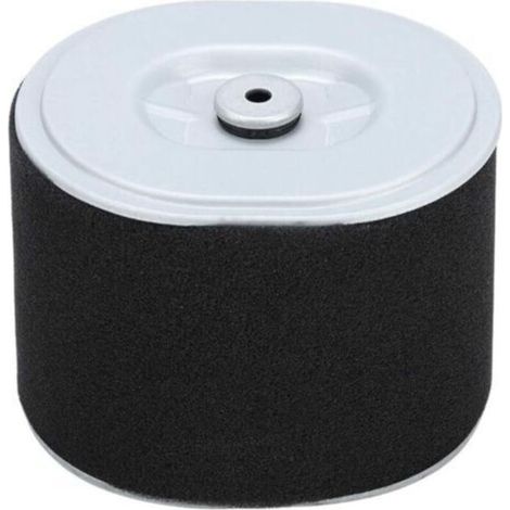 Filtre à Air Gx390 Filtre à Air Afze18 Filtre à Air Af Ze28 Moteur Gx390 Pièces de Nettoyeur Haute Pression Gx390 294, Accessoire de Remplacement de Filtre à Air pour Tondeuse à Gazon pour Moteur Hond