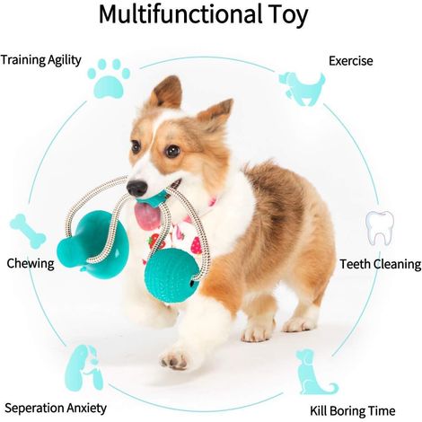 Multifunction Pet Molar Bite Toy, Jouet de Morsure d'animal familier Multifonctionnel, Jouets à macher d'animal familier interactif de Jouet de Chien d'animal familier de Jouet (Green)-Fei Yu (1/3)