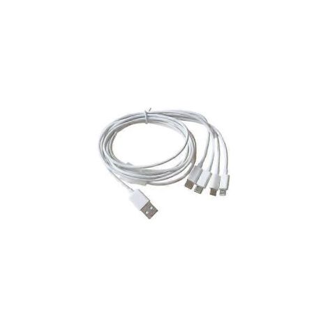 4-in-1 Multi-Ladekabel für USB-Typ-C- und Micro-USB-Geräte: Lädt 4 Geräte gleichzeitig (2 Typ-C + 2 Micro-USB) – Weiß – Crezuo