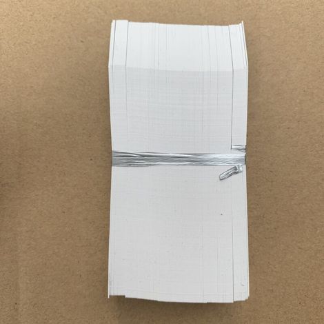 100 weiße Kunststoff-Gartenpflanzenetiketten, 2 Stück 10 cm große Setzlingsetiketten - Crezuo