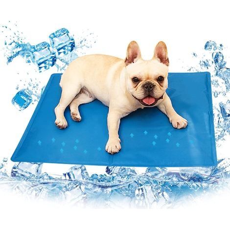 Tapis Rafraichissant pour Chien, Tapis Auto-Refroidissement Chien, Anti-Rayures, Étanche, Non Toxique(50x40CM ) (1/5)