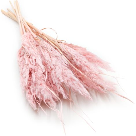 Mini herbe de la pampa - Rose perle - 10 pièces
