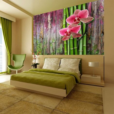 Papier peint plantes zen - 250 x 193 cm