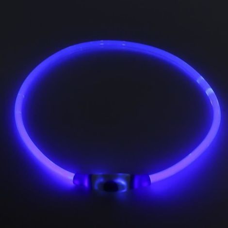 Drfeify LED-Hundehalsband, wiederaufladbares LED-Leuchthalsband für Haustiere mit USB-Ladekabel (1/4)