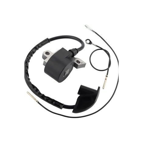 S-giant Bobine d'allumage compatible avec FS400 FS450 FS480 4128 400 1306 (1/4)