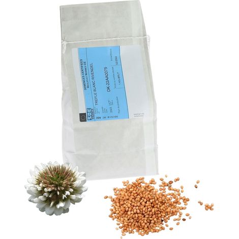 Graines de trèfle blanc nain 1kg – Plante mellifère – Floraison d'avril à septembre – Engrais vert fixateur d'azote – Apiculture.Net