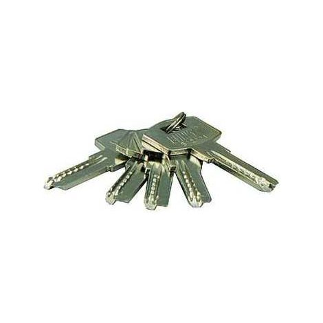 Clés pour cadenas Blinky antivol Euro (1/2)