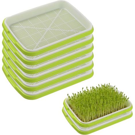 Vassoi per semina, vassoi per germinazione di microgreens, coltivazione fuori suolo, 34 x 25 cm / 22 x 14 cm, verde e bianco (1/5)