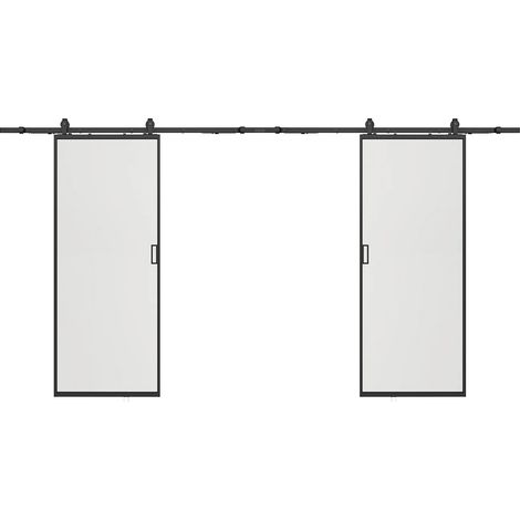 Porte scorrevole doppia esterno muro 2 x H205 x L63 cm Alluminio e Vetro temperato smerigliato - LINCI II (1/5)