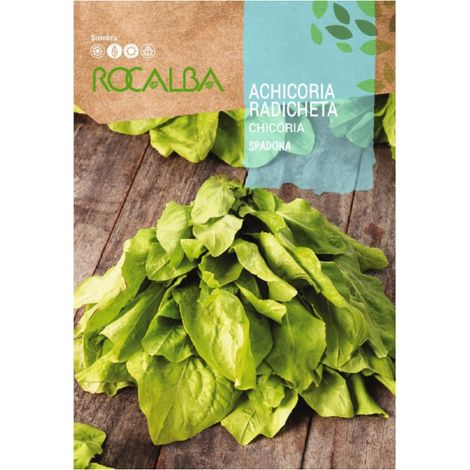 Rokalba Seed Achicoria Radicheta Spadona 500G