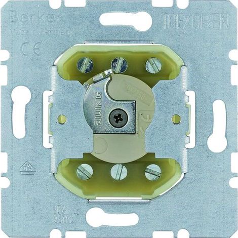 Berker 382210 Interruptor vidrio control eléctrico