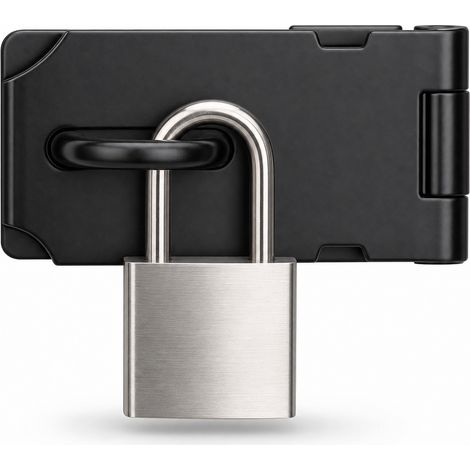 Verrou Loquet Cadenas Inox 304 Noir pour Porte 90° 3 Pouces (1/5)