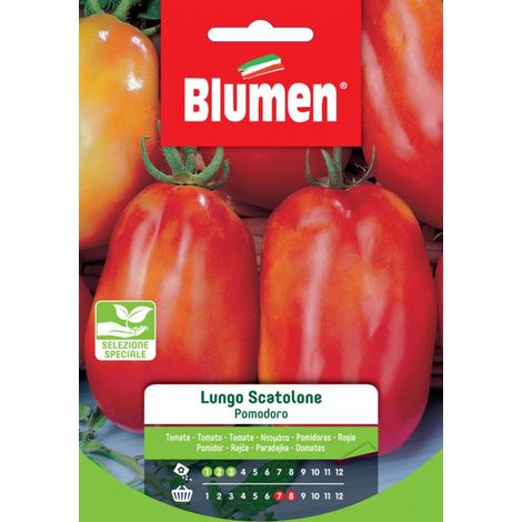 SEMI POMODORO LUNGO SCATOLONE