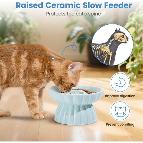 Gamelle anti-glouton surélevée en céramique pour chat et petit chien (1/5)
