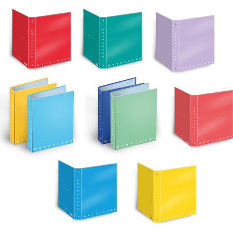 Pigna 001196330 raccoglitore ad anelli Multicolore
