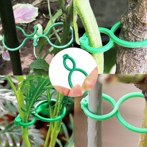 Clips pour plantes de jardin, supports avec fermoir, 50 clips à tomates réutilisables en plastique, supports torsadés résistants pour orchidées et plantes grimpantes, DENUOTOP (1/4)