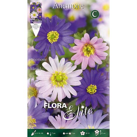 BULBI AUTUNNALI ANEMONE BLANDA MIXED CONFEZIONE DA 10 BULBI BULBS BULBES