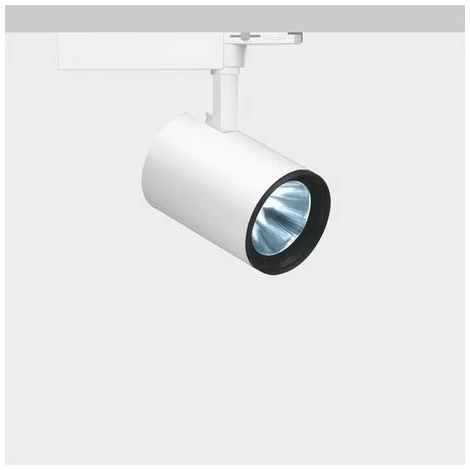 iGuzzini MN36.01 Faretto LED corpo medio su barra 37W - alimentatore elettronico e dimmer