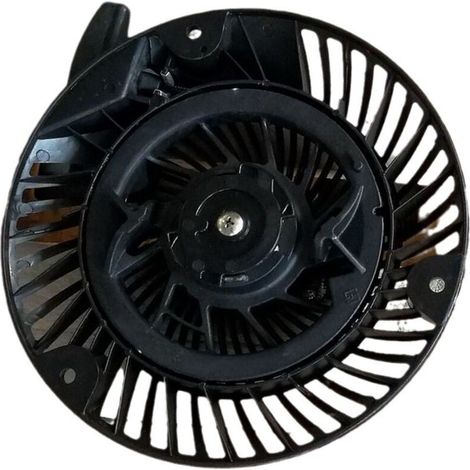 Briggs & Stratton 793470 Anlasser – Original-Austauschset für Motoren mit vertikaler Welle