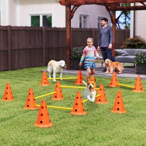 Ensemble d'agilité pour chien 6 pièce parcours d'obstacle hauteur réglable avec sac de transport orange style élégant