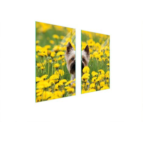 GLASSCHUTZPLATTE FÜR HERD 75x52 HUND (1/5)