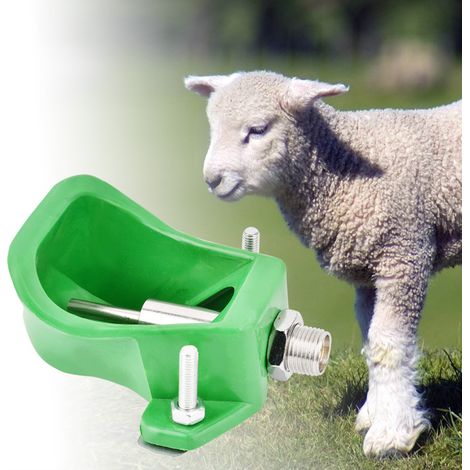 Abreuvoirs pour vaches, moutons et cochons, outils pour abreuver les animaux, matériel agricole (1/5)