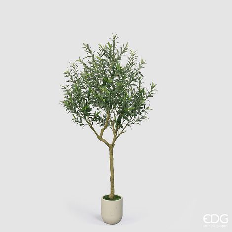 EDG Enzo De Gasperi Olivo con Vaso H 210 Cm Pianta Artificiale Verde