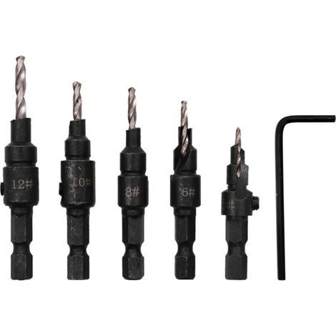 Clé dynamométrique vélo avec 10 embouts 1/4 2-24Nm (1/5)
