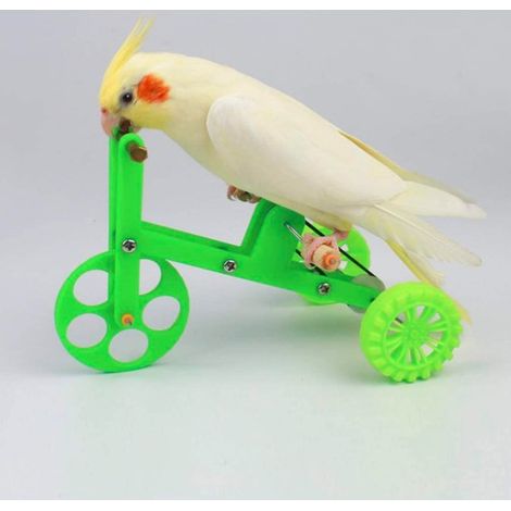 （L）Perroquet Jouet Formation Vélo Formation Oiseau Möbel