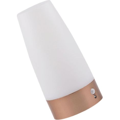 Veilleuse LED Détecteur de Mouvement sans Pile, Lampe Ronde pour Couloir Escalier Chambre, Éclairage Intérieur Automatique Capteur de Présence Humaine (1/5)