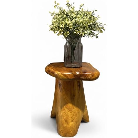 ELVMI Table basse en bois massif à forme irrégulière, utilisable comme banc ou porte-plantes, Salon, Balcon et Jardin (1/5)