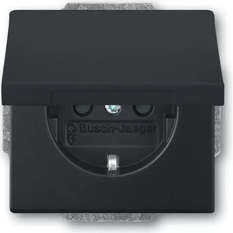 Busch-Jaeger 20 EUKBR-885 SCHUKO® Steckdosen-Einsatz mit Klappdeckel und int. erh. Berührungsschutz (1/2)