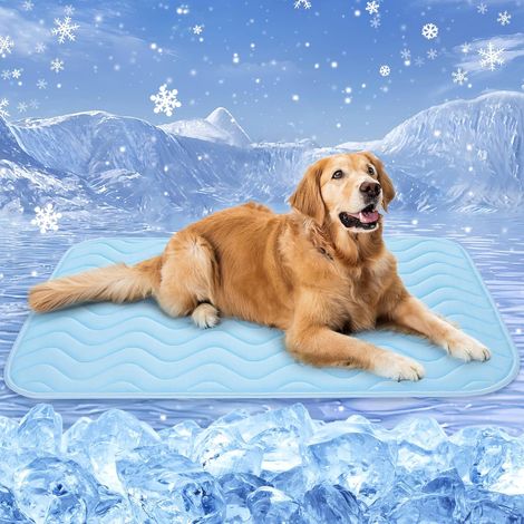 Tapis Rafraichissant Chien Chat, 100x70cm Tapis Rafraichissant pour Chien, Soie Glacée Respirant, Coussin Rafraîchissant Lavable, Durable, Idéal pour Les Animaux de Compagnie en été, Bleu (1/4)