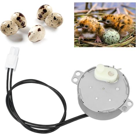 Eierrotationsmotor – 4-W-Aluminium-Rotationstrommelmotor – Synchronelektrisch für Hühner, Enten und Vögel (220–240 V) (1/5)