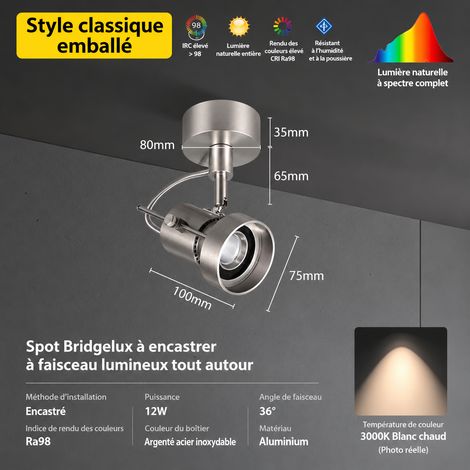 Spot LED montage plafonnier - aluminium pur - 12W - angle de diffusion 90° 3000K 25 × 15 × 15 cm 1 kg – Livraison gratuite